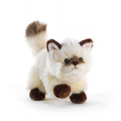 Soft Toy Siamese Cat Plush & Company 15705