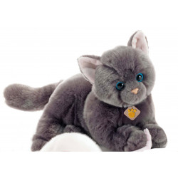Soft Toy Chartreux Cat Plush & Company 15850