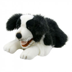 Border Collie plush toy the Puppet Company PC003007