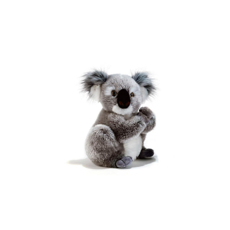 koala pupazzo