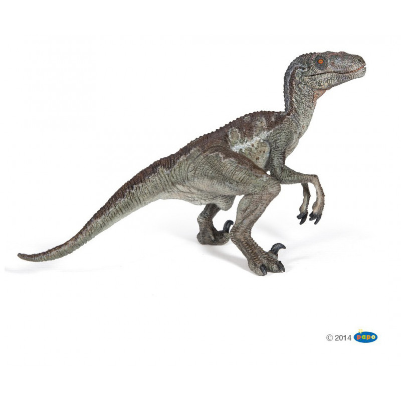 Figurine dinosaure Vélociraptor 55023 Papo
