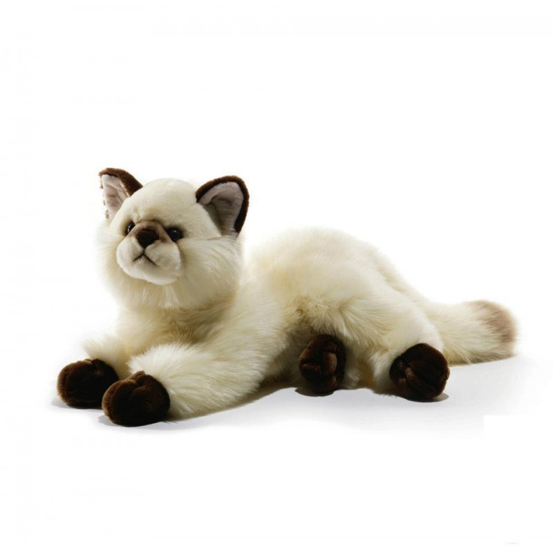 Soft toy Cat Siamese Plush & Company 05935